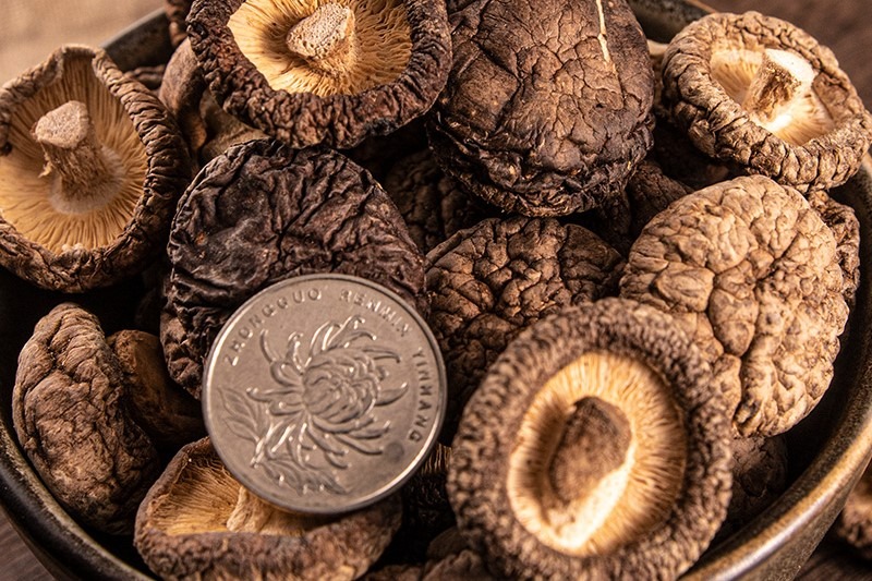 塞上天嬌香菇 塞上天嬌香菇