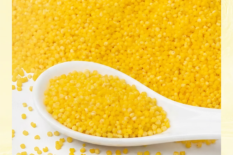 陜北小香米與普通小米的真實(shí)差異