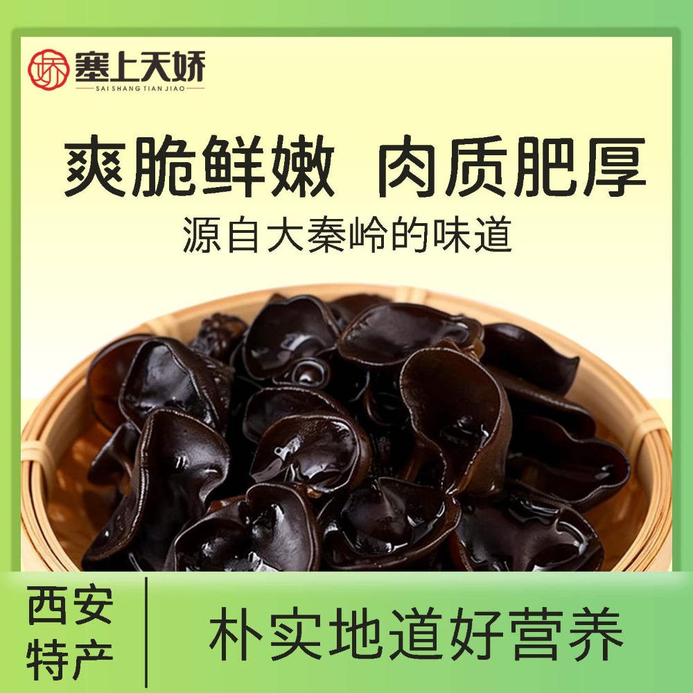 塞上天嬌黑木耳